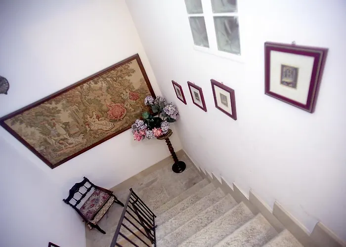 招待所 Germinario 特拉尼